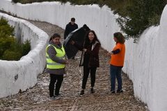 Peregrinacao_nacional_jovens_moviment_mensagem_fatima_mae_soberana-6