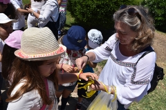 Peregrinacao_familias_vigararia_faro_se-20