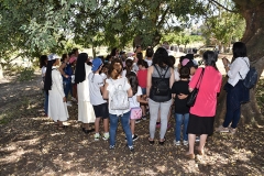 Peregrinacao_familias_vigararia_faro_se-24