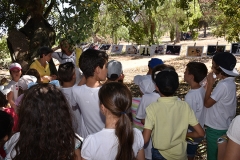 Peregrinacao_familias_vigararia_faro_se-25