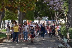 Peregrinacao_familias_vigararia_faro_se-59