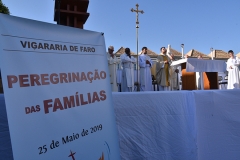 Peregrinacao_familias_vigararia_faro_se-75