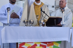 Peregrinacao_familias_vigararia_faro_se-96