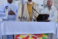 Peregrinacao_familias_vigararia_faro_se-96
