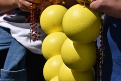 Peregrinacao_familias_vigararia_loule_santuario_n_sra_orada-21