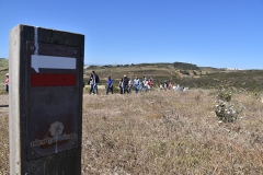 Peregrinacao_familias_vigararia_portimao_ermida_n_sra_guadalupe-23