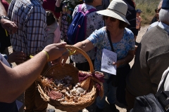 Peregrinacao_familias_vigararia_portimao_ermida_n_sra_guadalupe-25