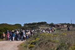 Peregrinacao_familias_vigararia_portimao_ermida_n_sra_guadalupe-41