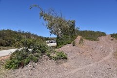 Peregrinacao_familias_vigararia_portimao_ermida_n_sra_guadalupe-49