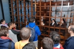 Peregrinacao_jubilar_seminario_2016 (20)
