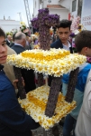 Procissao_tochas_floridas_s_bras_2015 (15).JPG