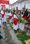 Procissao_tochas_floridas_s_bras_2015 (49).JPG