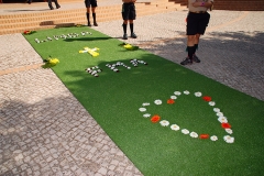 Profissao_perpetua_irma_linda_vieira (4)