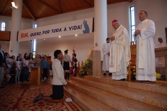 Profissao_perpetua_irma_linda_vieira (40)