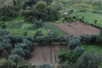 Quinta_pedagogica_cachopo (1).JPG