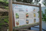 Quinta_pedagogica_cachopo (13).JPG
