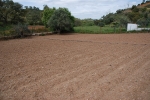 Quinta_pedagogica_cachopo (14).JPG