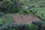 Quinta_pedagogica_cachopo (2).JPG