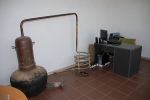 Quinta_pedagogica_cachopo (3).JPG