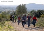 Caminho_santiago_faro_loule (12)
