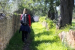 Caminho_santiago_faro_loule (9)