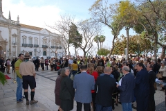 Domingo de Ramos 2014