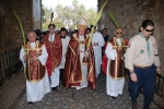 Domingo_ramos_2014 (10)