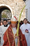 Domingo_ramos_2014 (12)