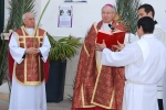 Domingo_ramos_2014 (4)