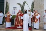 Domingo_ramos_2014 (5)
