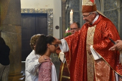 Solenidade_pentecostes_2018 (11)