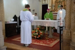 Posse_parocos_2015 (15)