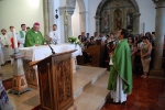 Posse_parocos_2015 (6)