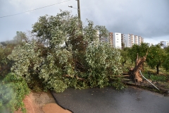 Tornado_faro (1)