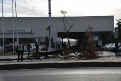 Tornado_faro (17)