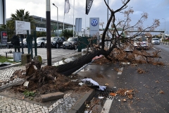Tornado_faro (18)