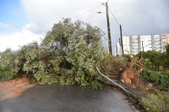 Tornado_faro (2)