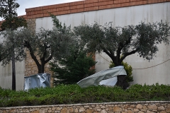 Tornado_faro (26)