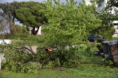 Tornado_faro (3)