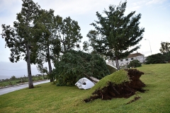 Tornado_faro (30)