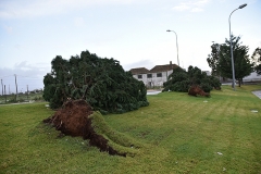 Tornado_faro (31)