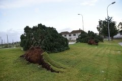 Tornado_faro (31)