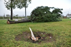 Tornado_faro (32)