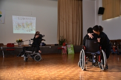 Jornadas_diocesanas_pastoral_pessoas_deficiencia_2019 (35)