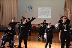 Jornadas_diocesanas_pastoral_pessoas_deficiencia_2019 (49)
