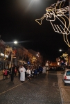 Visita_loule_imagem_peregrina_n_sra_fatima (41)