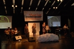 Festival_cancao_2014 (8)