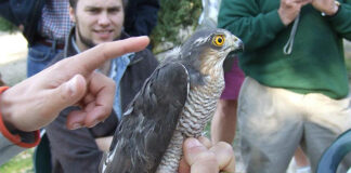 Associação cristã algarvia celebra 30 anos de defesa do ambiente