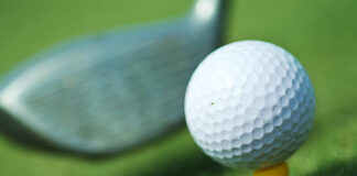 Quercus contra construção de campo de golfe em Silves
