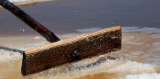 Câmara de Castro Marim revitaliza salina para mostrar como se faz sal marinho